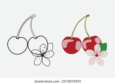 Colorful red cherry fruit flat illustration design. 