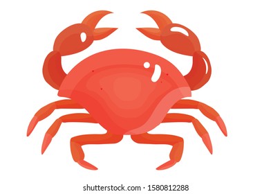 Colorful red crab vector illustration. Sea creature in flat design. Shell crab icon isolated on white background. Water animal with claws