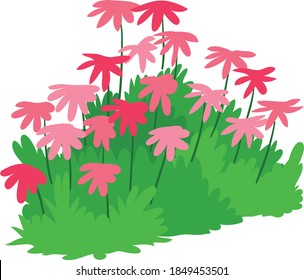 Colorful red garden pollinator plants vector