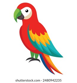 Colorful Red Macaw bird on white background