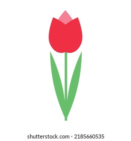 Colorful red tulip flower isolated on white background vector illustration. Spring garden flowers. Greetings card. Summer print design element. Floral shop logo. Flat style. Elegant pastel colors.