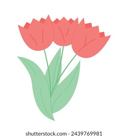 Colorful red tulips bouquet on isolated white background. Flat icon of tulip. 8 March Womens day. Vector illustration flat style. Tulip flat vector icon, spring flowers with green leaves
