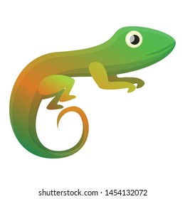 Colorful reptile icon. Cartoon of colorful reptile vector icon for web design isolated on white background