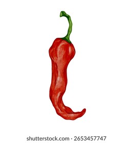 Colorido maduro pimenta chili pod.Vetor gráficos.
