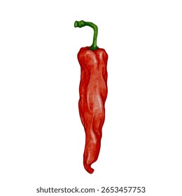 Colorido maduro pimenta chili pod.Vetor gráficos.