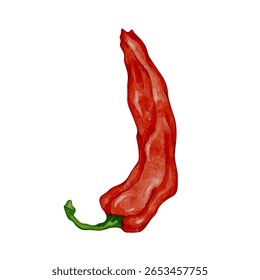 Colorido maduro pimenta chili pod.Vetor gráficos.