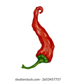 Colorido maduro pimenta chili pod.Vetor gráficos.