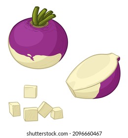 Colorful ripe rutabaga or swede. Vector illustration in cartoon style.