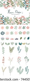 Colorful romantic flowers and leaves elements set vector illustration.