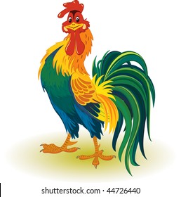 Colorful rooster