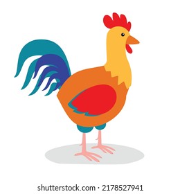 colorful rooster on a white background