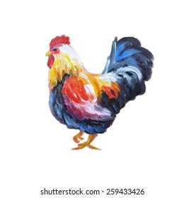 Colorful rooster on white background