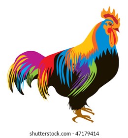 Colorful rooster on white background