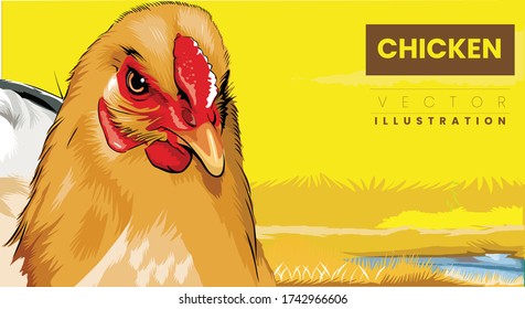 colorful rooster on yellow nature background