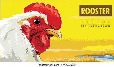 colorful rooster on yellow nature background
