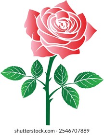 Colorful Rose Flower Vector Illustration Design (Version: 02)