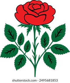 colorful rose flower vector and illustrator