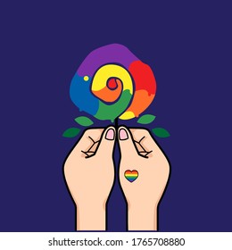 Colorful rose- hand hold flower on blue background.