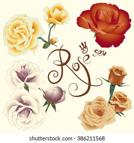 Colorful rose set with hand drawn contour. Vector illustration.