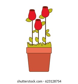 colorful rosebuds planted with leaves in flowerpot vector illustration