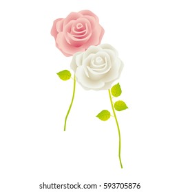 colorful roses with stem and leaves floral design vector illustration