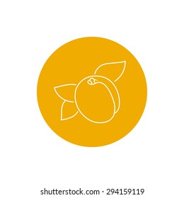 Colorful Round  Icon Apricot, Fruit Icon,  Line Style, Vector Illustration