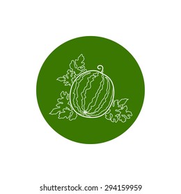 Colorful Round  Icon Watermelon, Fruit Berry Icon, Line Style, Vector Illustration
