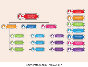 Colorful Round Rectangle and Circle Organization Chart Infographics with People Icon, Metallic Color, Business Structure, Vector Illustration.