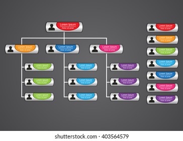 Colorful Rounded Rectangle Organization Chart Infographics, People Icon, Business Structure, Vector Illustration.