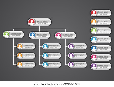 Colorful Rounded Rectangle Organization Chart Infographics, People Icon, Business Structure, Vector Illustration.