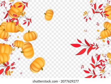 Vector transparente de fondo rojo colorido. Tarjeta patrón oro. Juego de robles de las hojas de borgoña. Decoración vegetal. Textura alimenticia.
