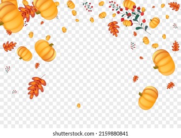 Colorful Rowan Background Transparent Vector. Orange Healthy Frame. Burgundy Gourd Foliage Card. Leaf Thanksgiving. Halloween Texture.