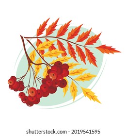 A colorful rowan branch. The concept of autumn. Seasonal vector illustration.