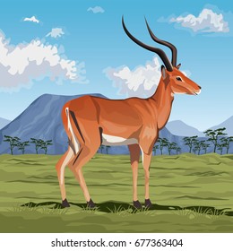 colorful scene african landscape with gazelle standing