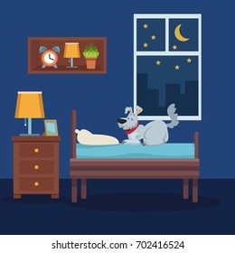 colorful scene pet dog over bed in room at night