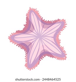 Colorful sea animal, sea star.Vector graphics.