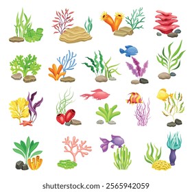 Colorful Sea Bed and Ocean Bottom with Algae and Stone Vector Set