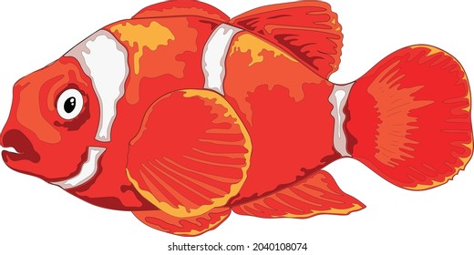 Colorful sea fish . High quality vector art or illustration.