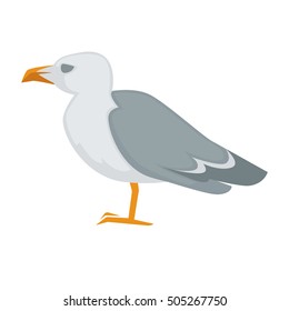 Colorful sea gull bird vector illustration. Isolated on white background.