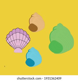 colorful sea shell illustration vector art