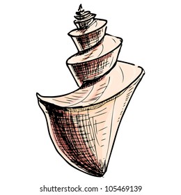 Colorful sea shell isolated on white background. Hand drawing sketch vector illustration