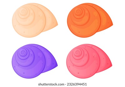 Colorful sea shell set isolated on white background.