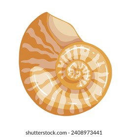 Colorful sea shell.Decorative element for summer decorations.vector graphic.