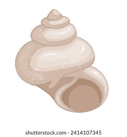Colorful sea shell.Decorative element for sea summer designs.Vector graphic.