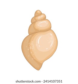 Colorful sea shell.Decorative element for sea summer designs.Vector graphic.