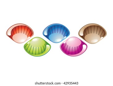 colorful sea shells