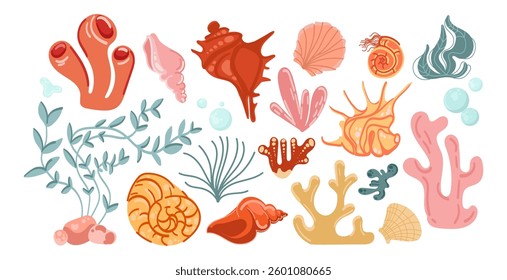 Colorful sea shells, corals, and marine plants set.Underwater collection of corals, shells, and ocean elements.Decorative marine life Vector illustration for ocean designs, backgrounds, and creative