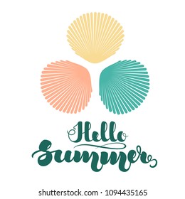 Colorful sea shells in flat style and handwritten lettering "Hello Summer". Vector illustration isolated on white background. EPS10.