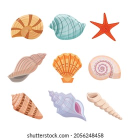 Coloridas conchas marinas. Starfish y ostra espiral con decoración tracerada del interior y acuario de moda conchas brillantes de moluscos del suelo del océano. Vector exótico de dibujos animados.