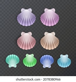 Colorful sea shells silhouettes set on white background. Vector illustration